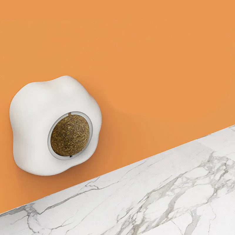 Interactive catnip ball toy with egg design mounted on wall for feline play