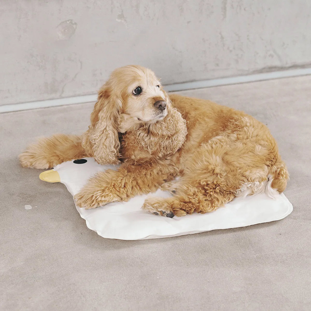 Washable chick-shaped pet cooling mat measuring 45cm by 45cm with composite cloth construction