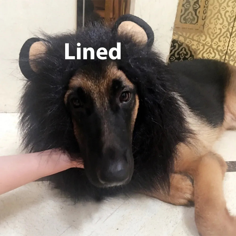 Dog wearing adjustable lion headdress costume with elastic band in light brown colour
