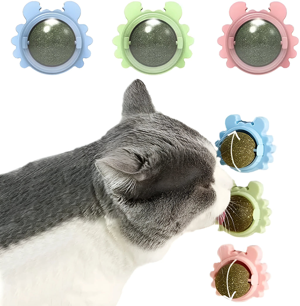 Catnip wall ball piece toy in blue with three removable natural catnip balls attached to a smooth wall