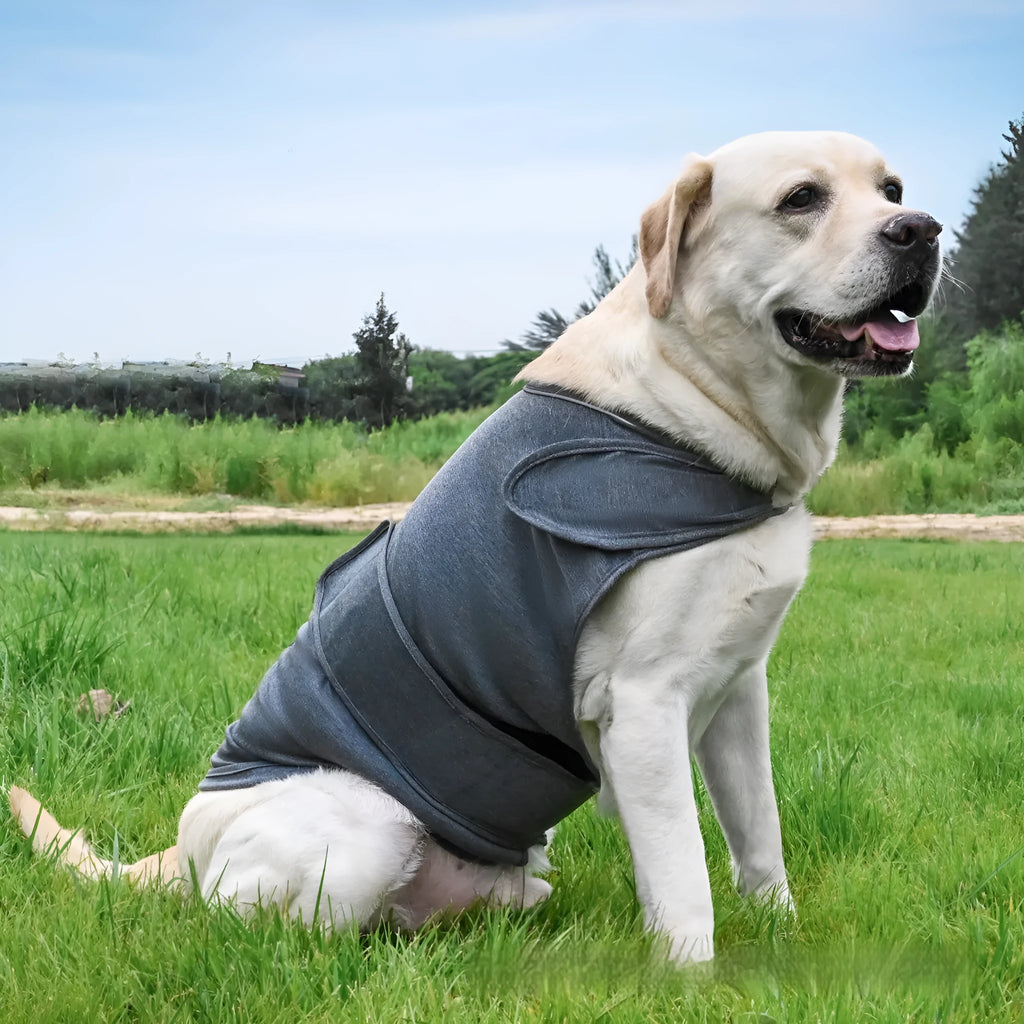 Dog wearing anxiety relief tank top in brocade cotton Ponte-de-Roma fabric