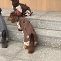Cold-proof dachshund shell jacket in brown, Polyester Fibre, size M to XXL