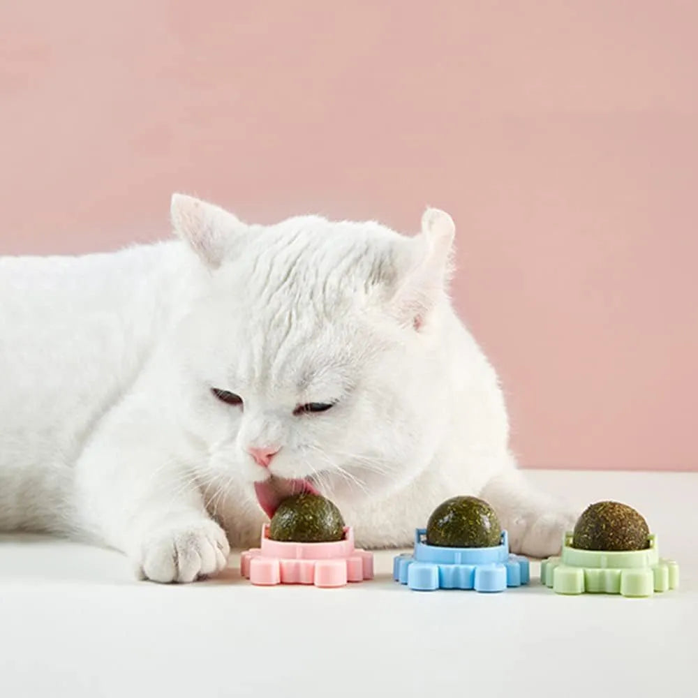 Catnip wall ball piece toy in blue with three removable natural catnip balls attached to a smooth wall