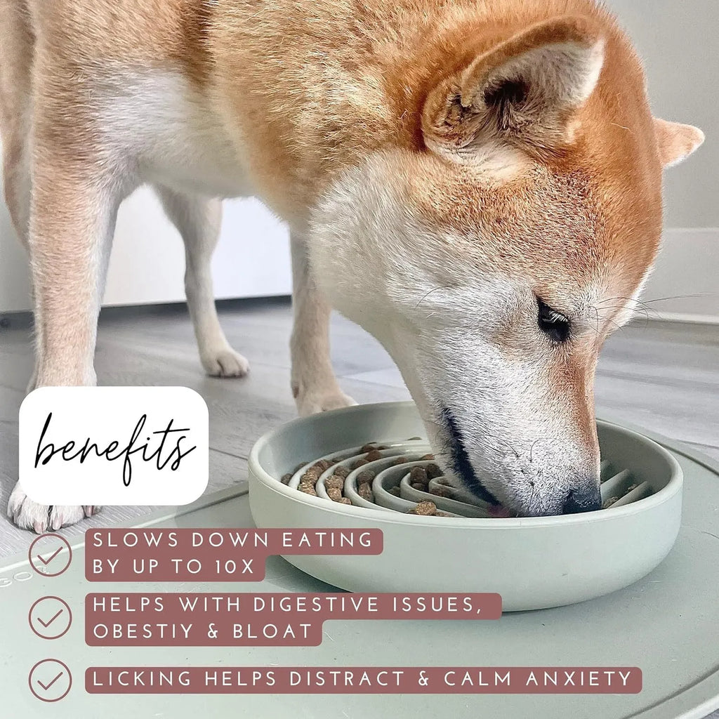Silicone slow feeder dog bowl with ridges in various colours on a table.