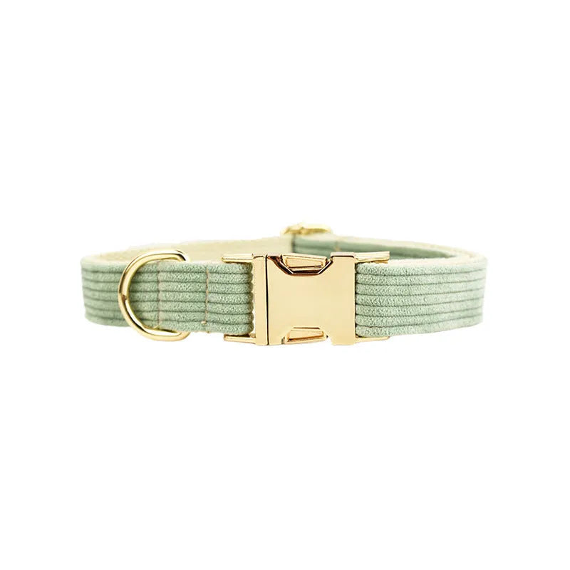 Textured corduroy dog collar in light green colour with metal D-ring and plastic buckle clasp.