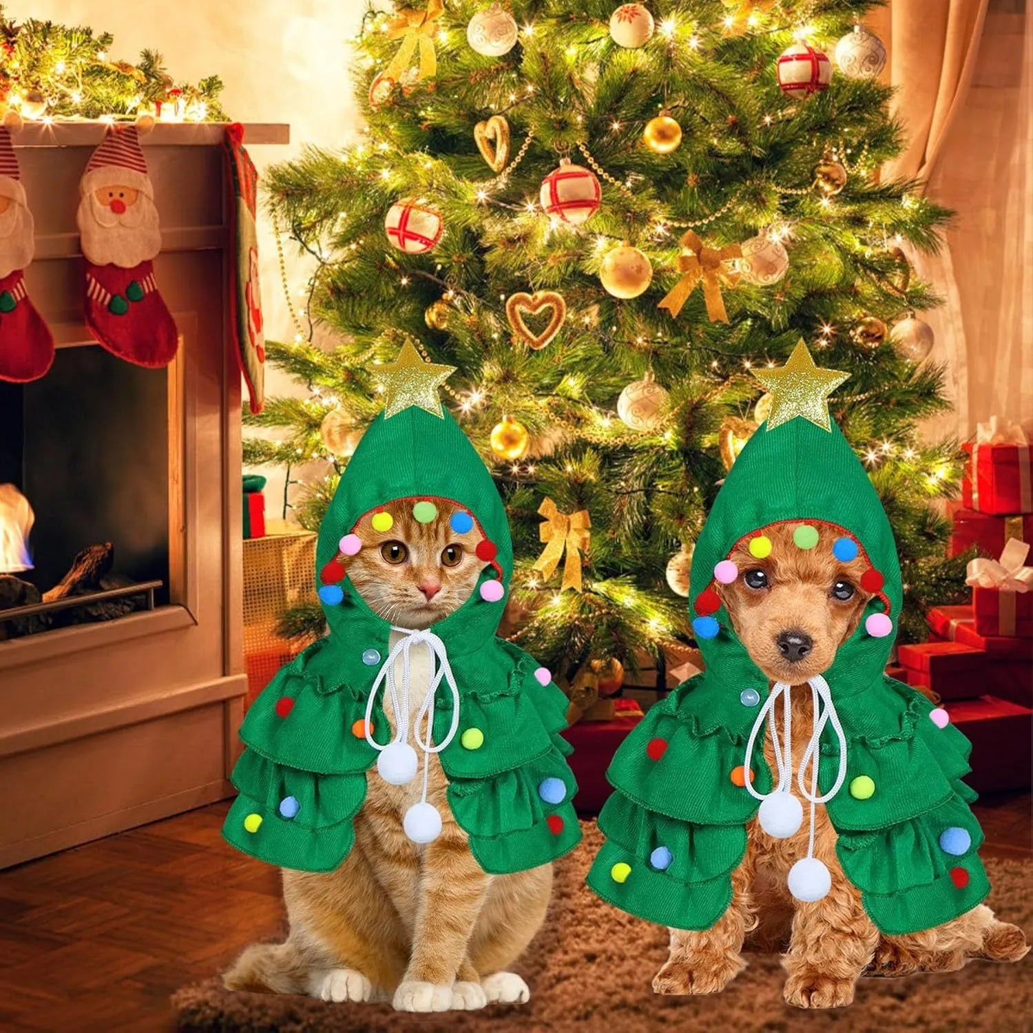 Cat wearing Christmas tree costume with star ornament in green