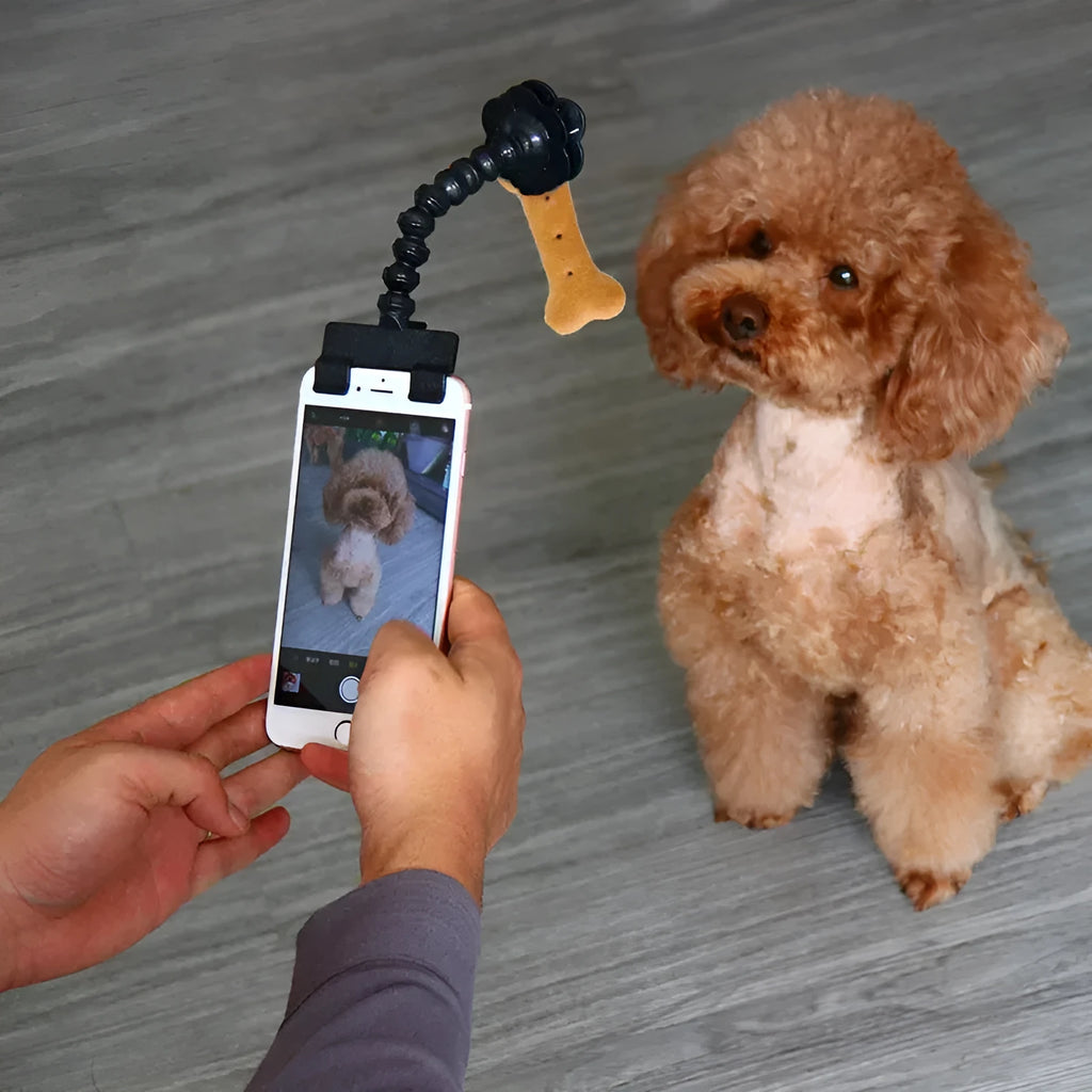 Pet photography tool clip for phone holding a treat to attract cat or dog attention, black plastic
