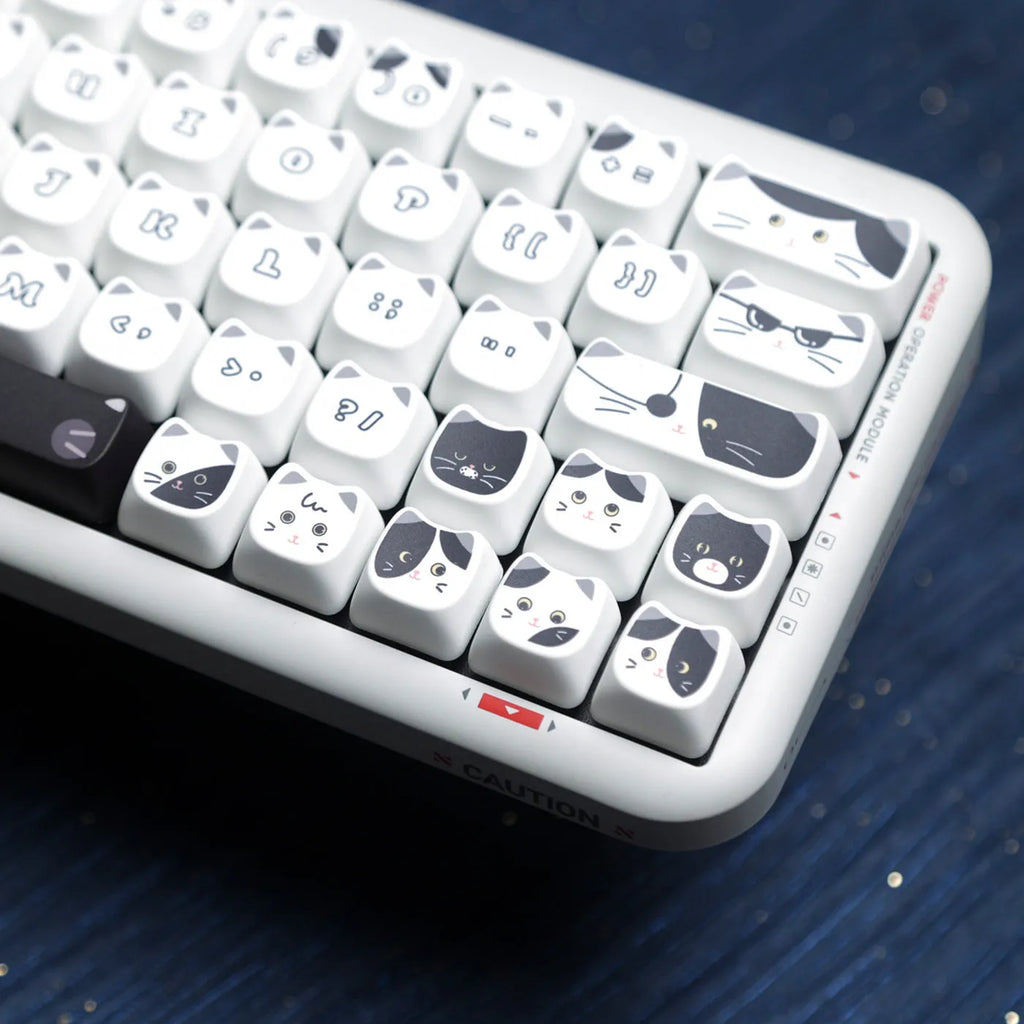 Black and white kitten sublimation key cap set for mechanical keyboards, PBT MAO profile, boxed packaging