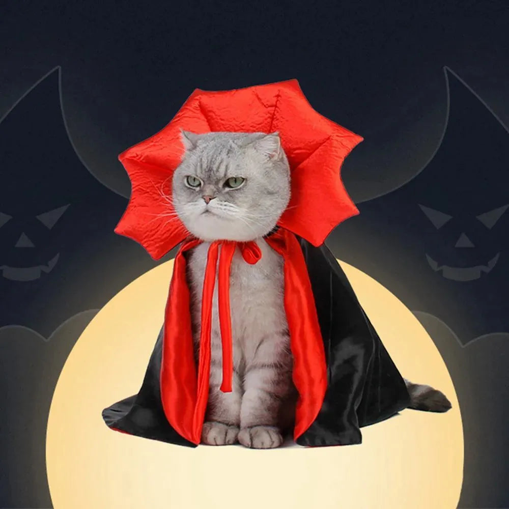 Black vampire cloak Halloween costume on a small dog or cat