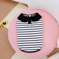 Cotton striped T-shirt and matching skirt set for a pet dog on a white background.