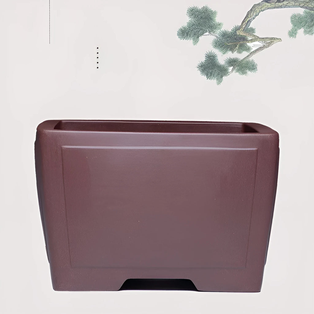 Square purple clay succulent bonsai pot in classical style for tabletop or floor plant display