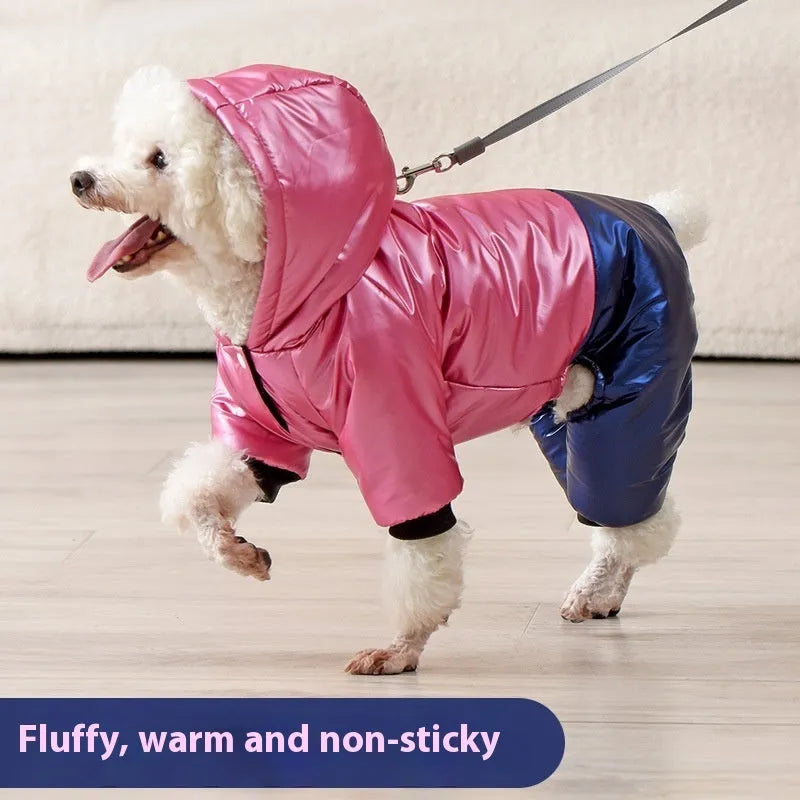 Green waterproof four-legged dog coat with cotton padding on a medium-sized dog