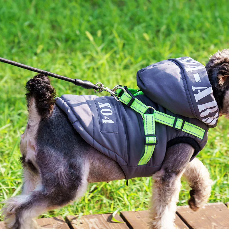 Red winter dog jacket with hood and fleece lining shown on small dog