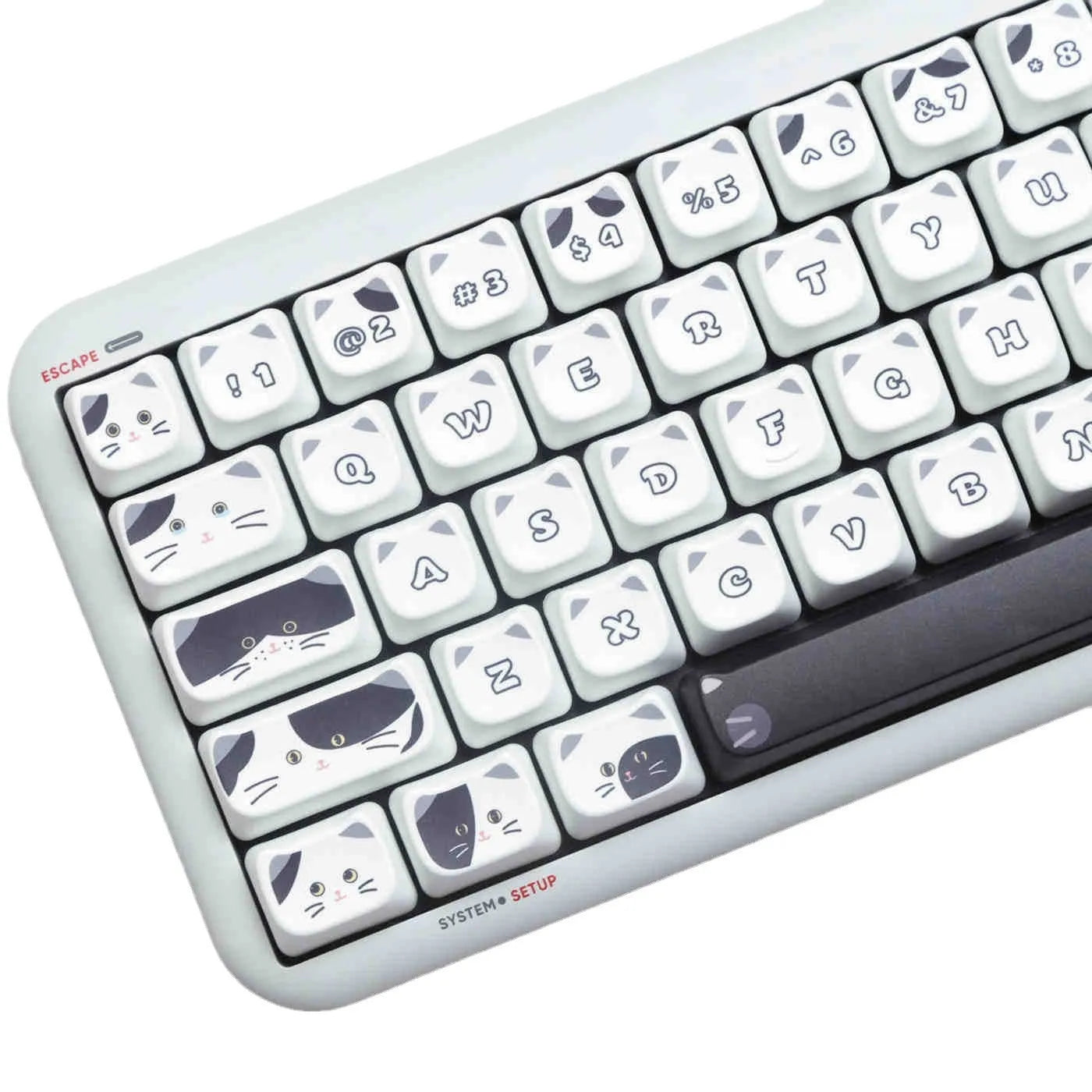 Black and white kitten sublimation key cap set for mechanical keyboards, PBT MAO profile, boxed packaging