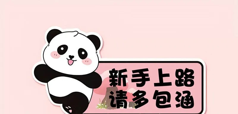 Panda design car sticker for female beginner drivers measuring 23cm by 12cm