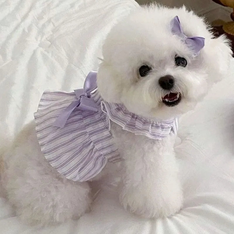Purple dog dress with thin vest, bowknot and stripe skirt, sizes XS to XXL for small to large dogs
