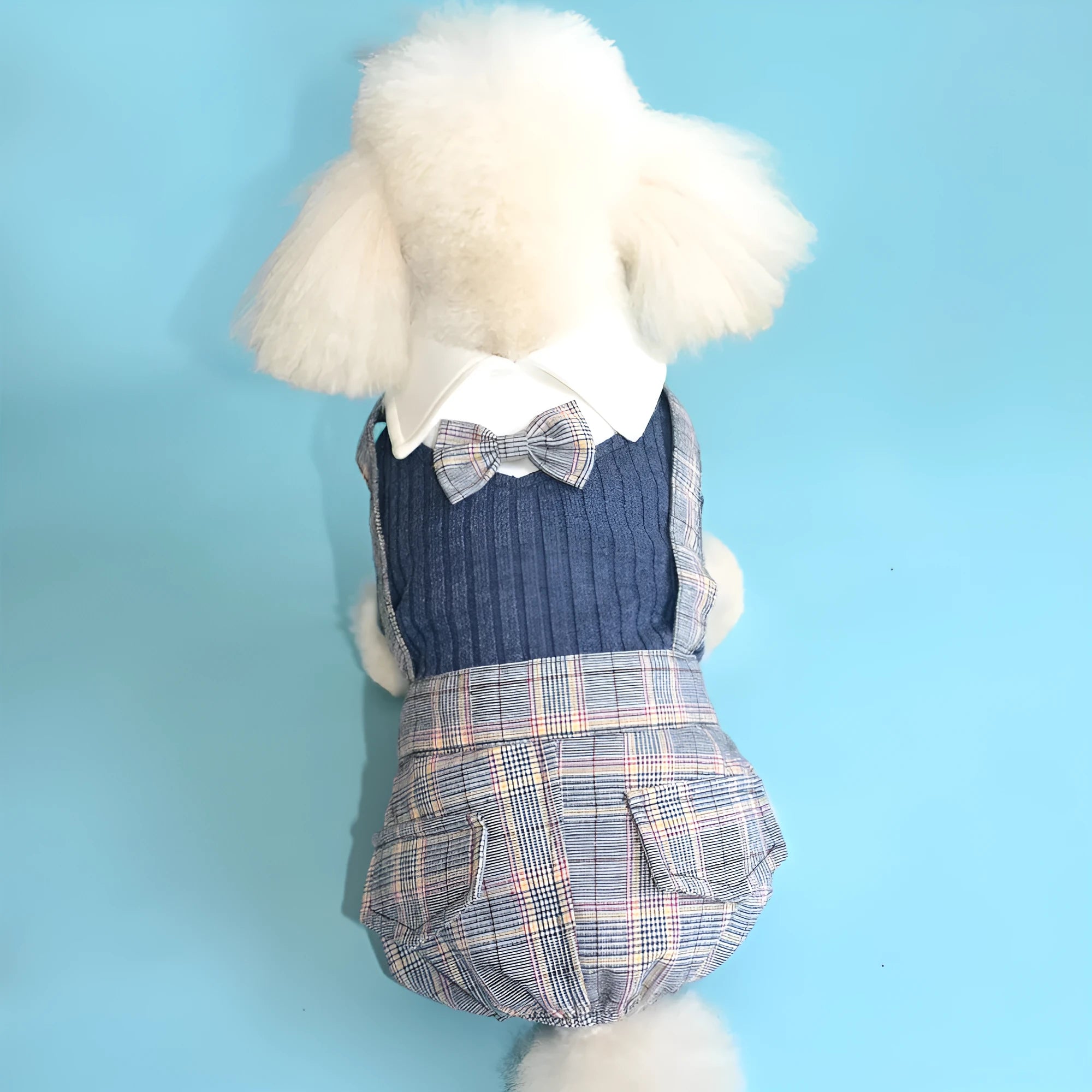 Orange cotton dog shirt shown on small breed pet, demonstrating suit-style pet clothing