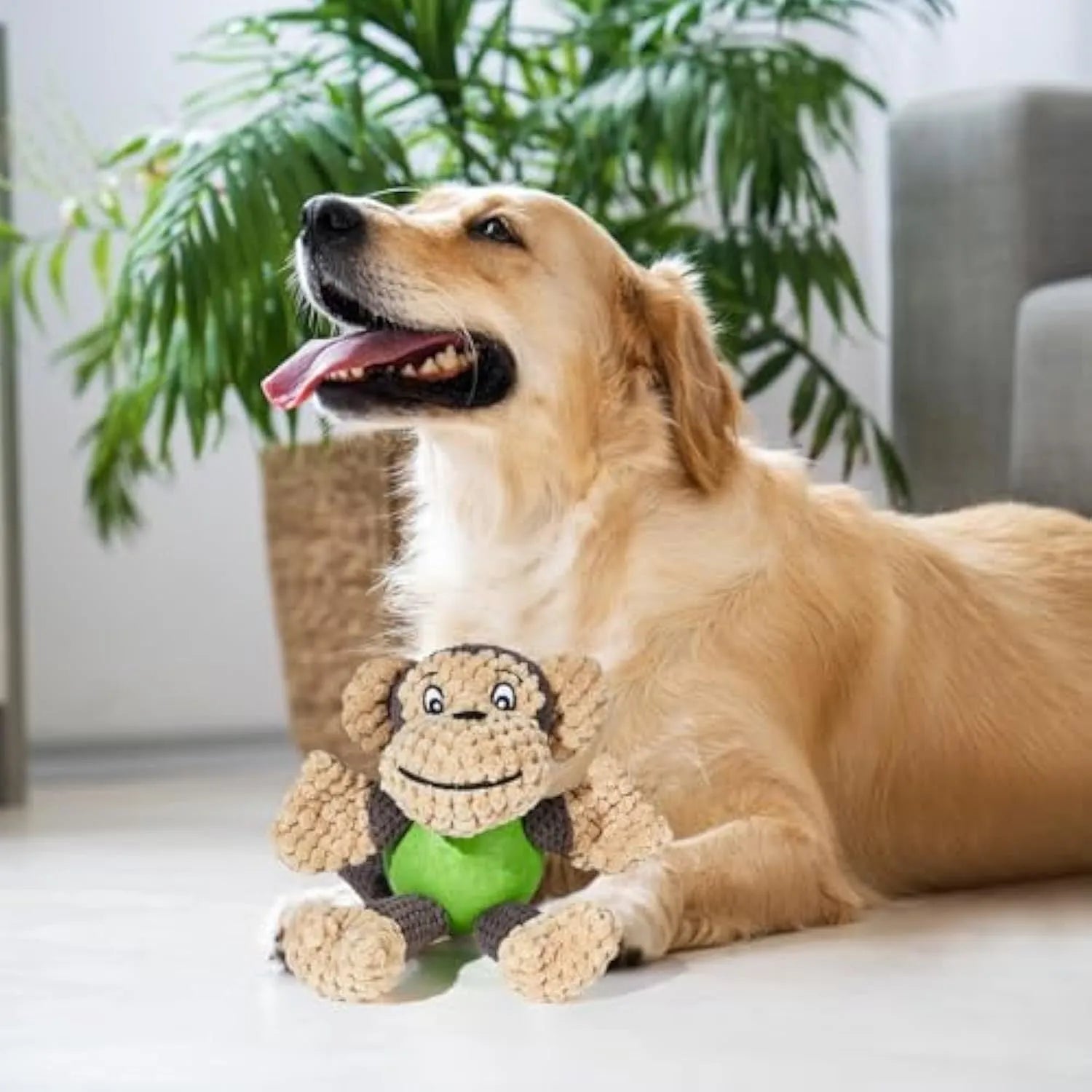 Cartoon monkey plush dog toy with squeakers for small to medium dogs