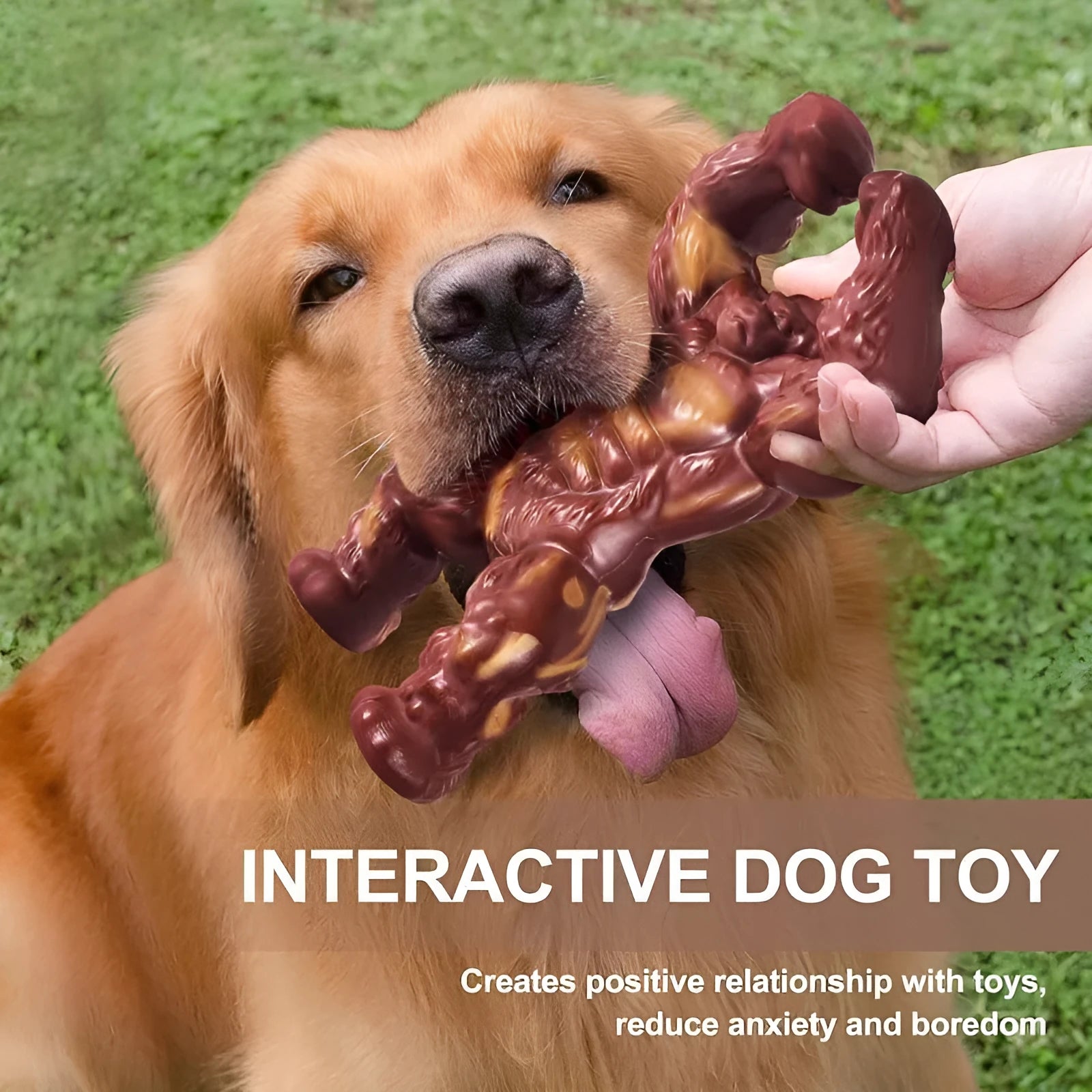 Scarlet coloured nylon dog chew toy with beef flavour and textured molar design