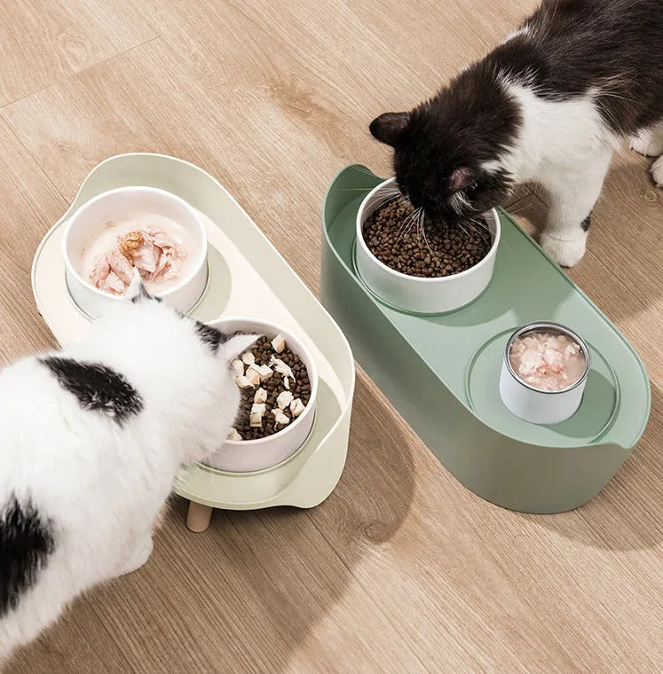 Green and white adjustable tilted pet feeding bowl with dual food and water compartments for cats and dogs