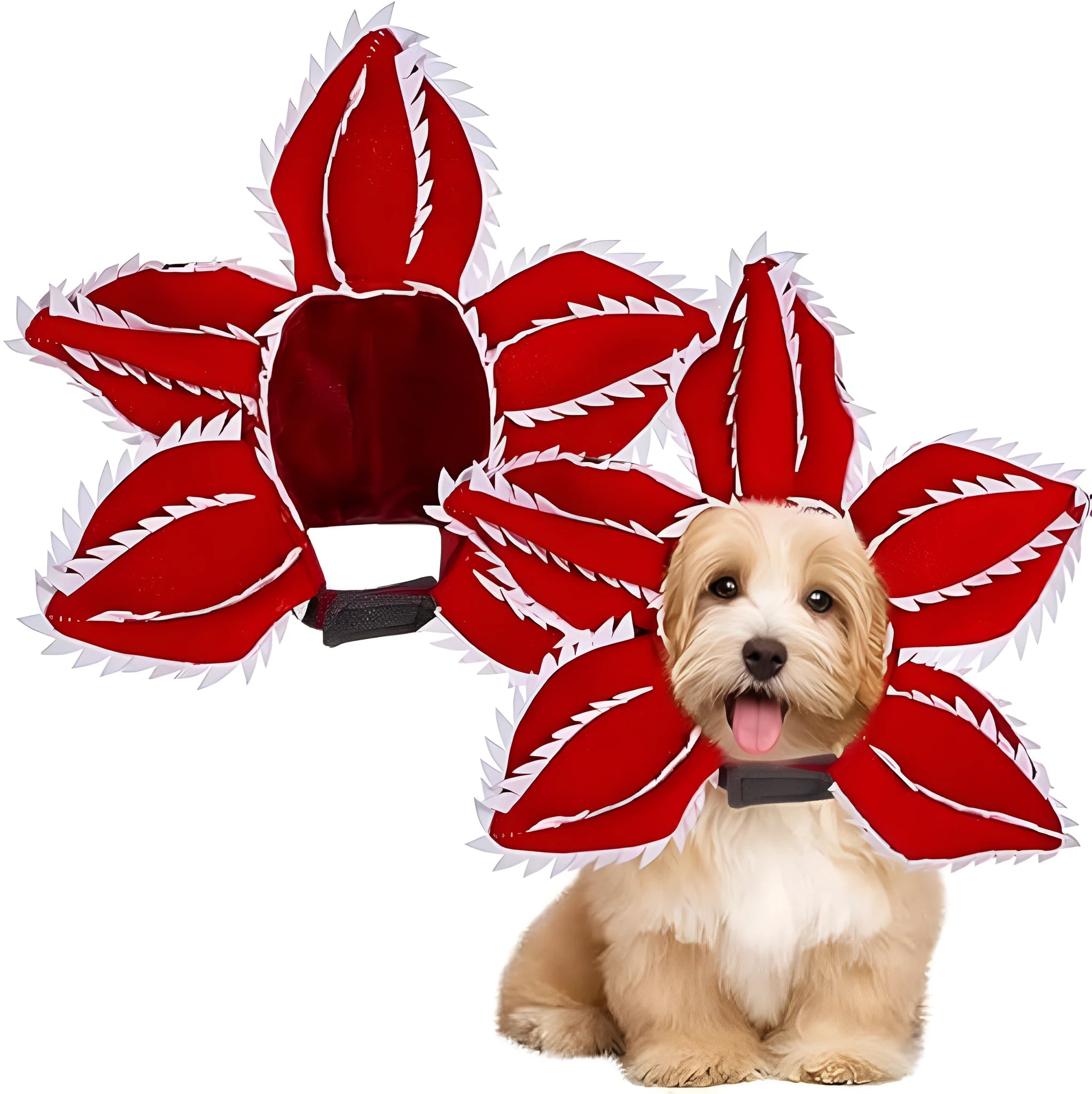 Dog wearing Halloween demon chomper hat costume with flower headband for medium-sized pets