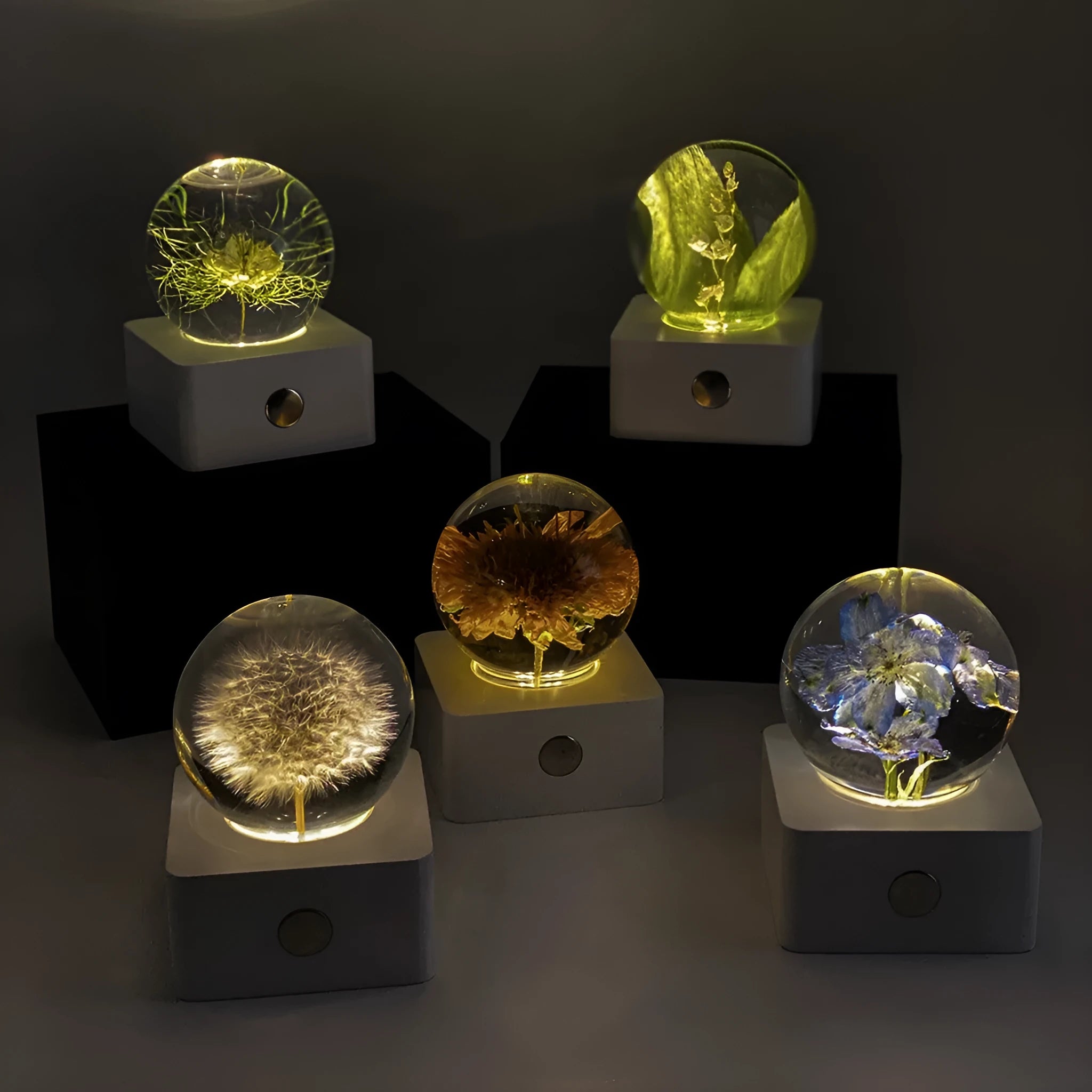 8cm preserved dandelion and sunflower specimen night light with USB cable