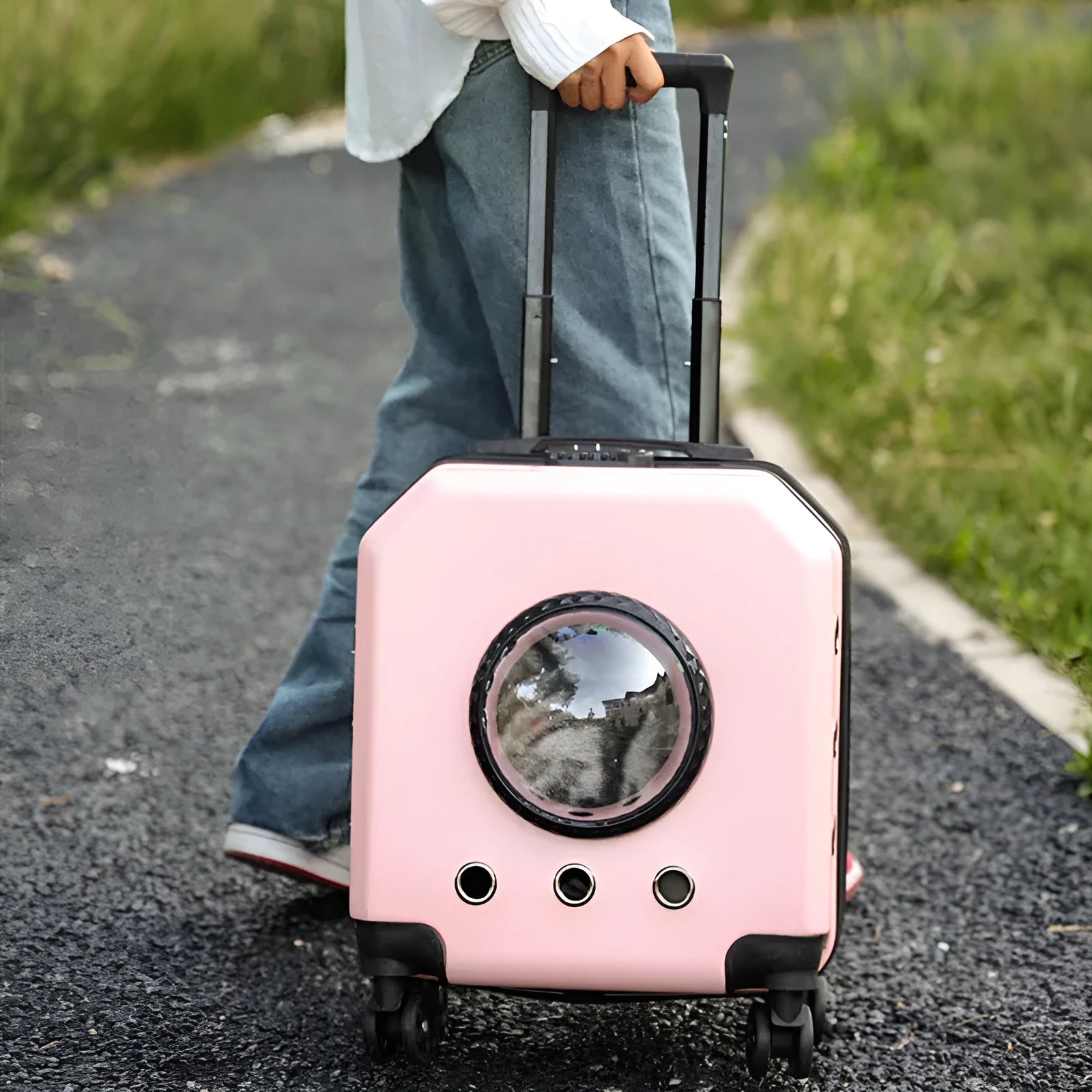 PVC hard-shell pet trolley case in orange colour with wheels and carrying handle.