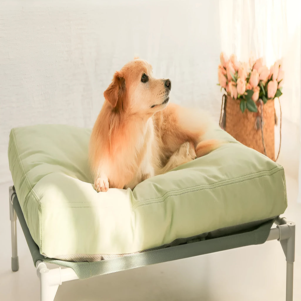 Thickened warm dog kennel pad with removable cotton cover in dark grey colour on floor