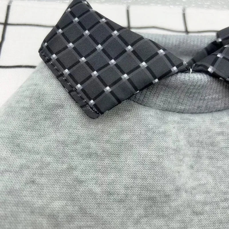 Gray dog wearing two-piece sweater with detachable collar in polyester velvet material