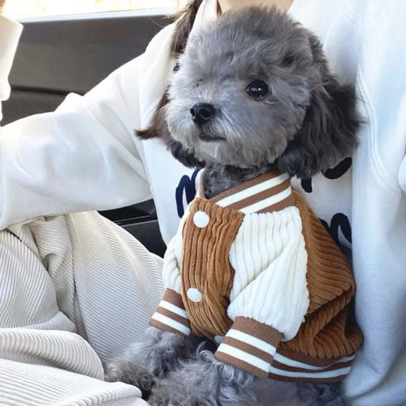 Pet jacket in navy blue or brown baseball uniform style, thermal cloth, sizes XS to XL