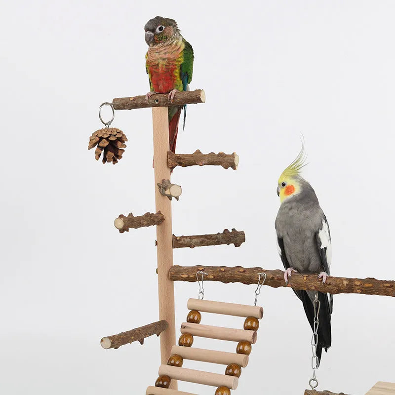 Sichuan Pepper parrot climbing training platform in natural solid wood, 37x26x45cm, brown finish