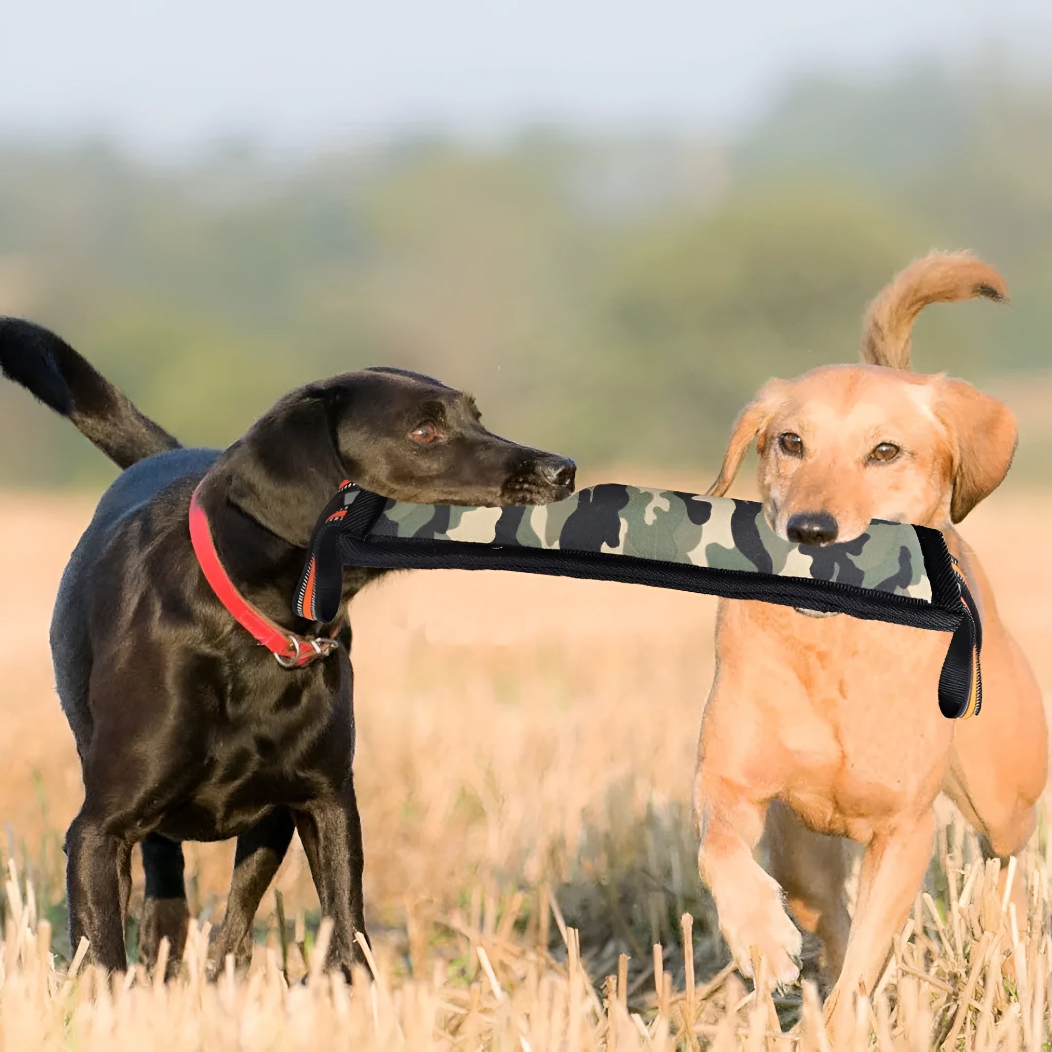 Bite-resistant dog training stick made of camouflage cloth for chewing and dental health LY307