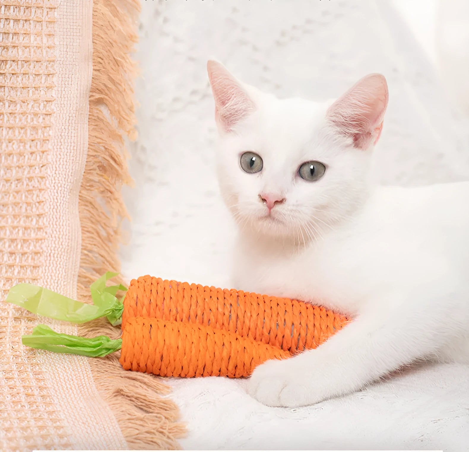 Set of four different cat toys including paper crinkle toys, ringing stones, textured sticks, and tooth grinding sticks