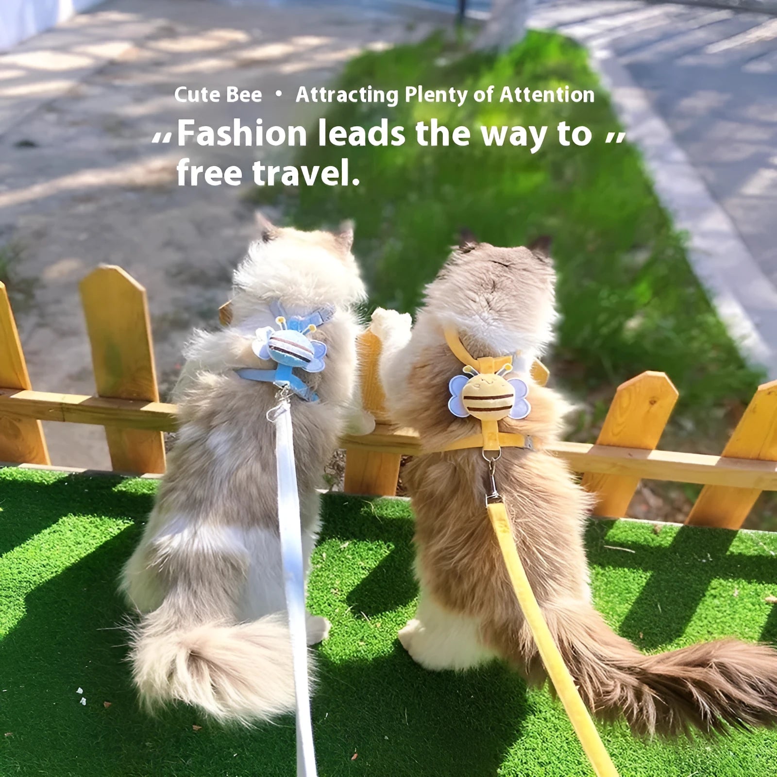 Adjustable bee-shaped teddy harness and lead for cats in blue, pink, or yellow.