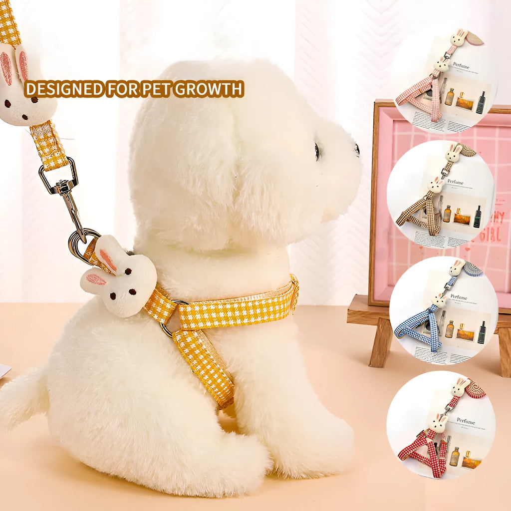 Small dog harness with leash in nylon material showing quick release buckles and anti-pull design