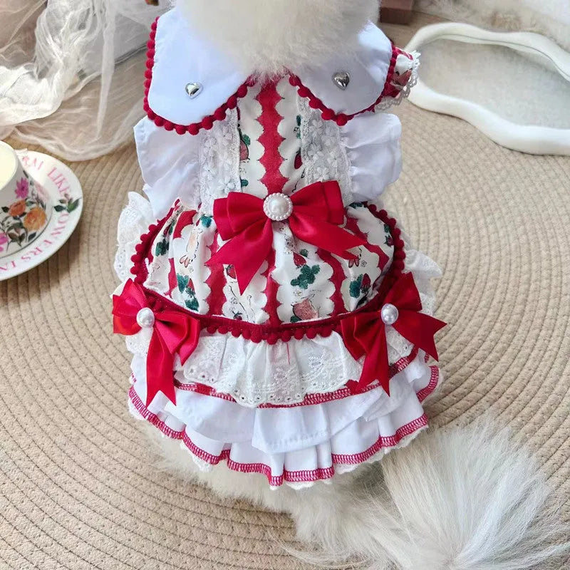 Small white dog wearing a light-coloured princess dress with a fluffy rabbit skirt attached.