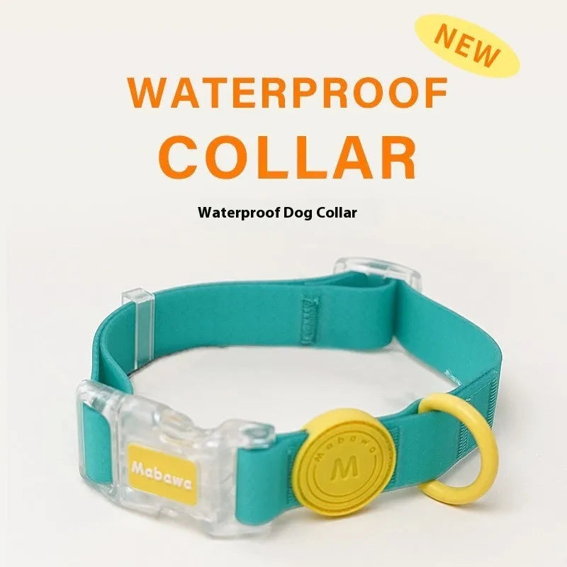 Nylon dog collar and leash in choice of four colours with 1.5m or 2.1m rope options