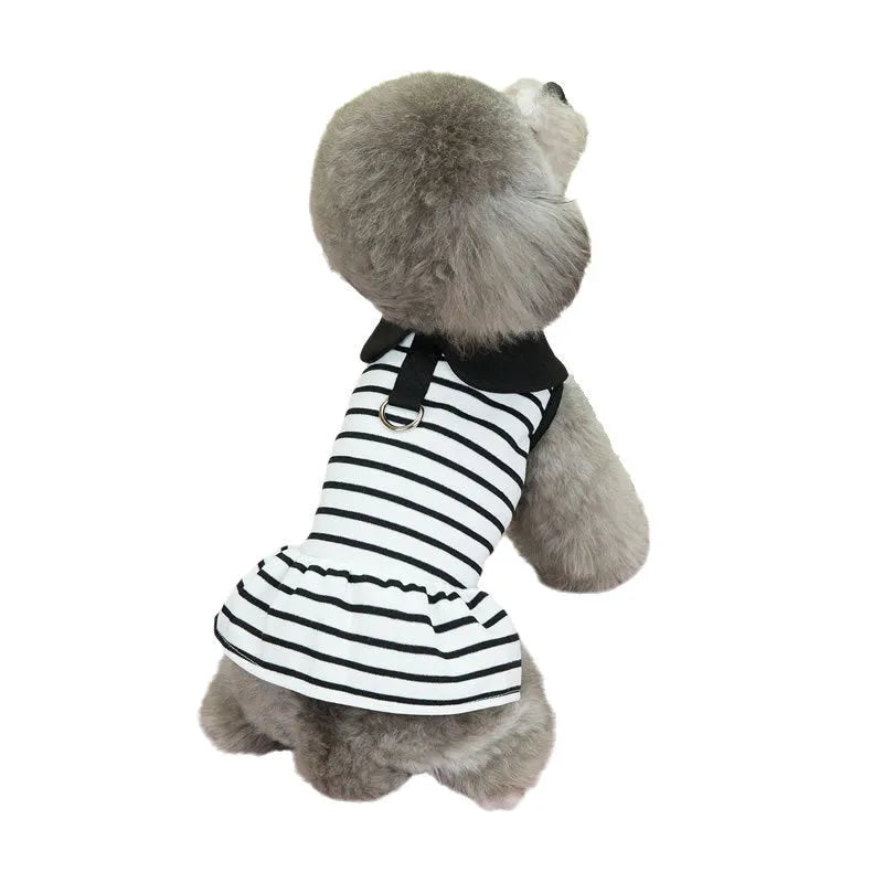 Cotton striped T-shirt and matching skirt set for a pet dog on a white background.