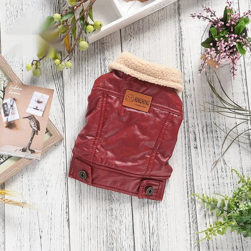Red two-legged PU leather dog coat with fleece lining, shown on a small dog.