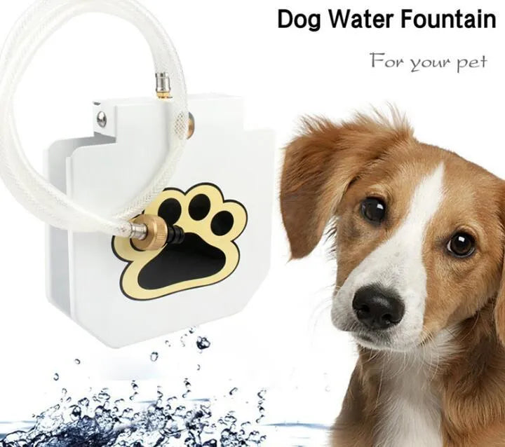 Outdoor dog water fountain in heavy-gauge steel with paw-pad and hose