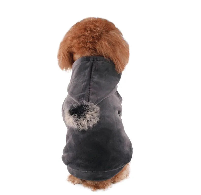 Blue hot dog dog costume on pet with grey background, available in sizes S to XXL