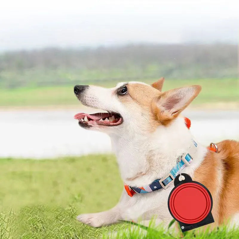 Blue folding silicone double pet bowl with two compartments for dog or cat food and water