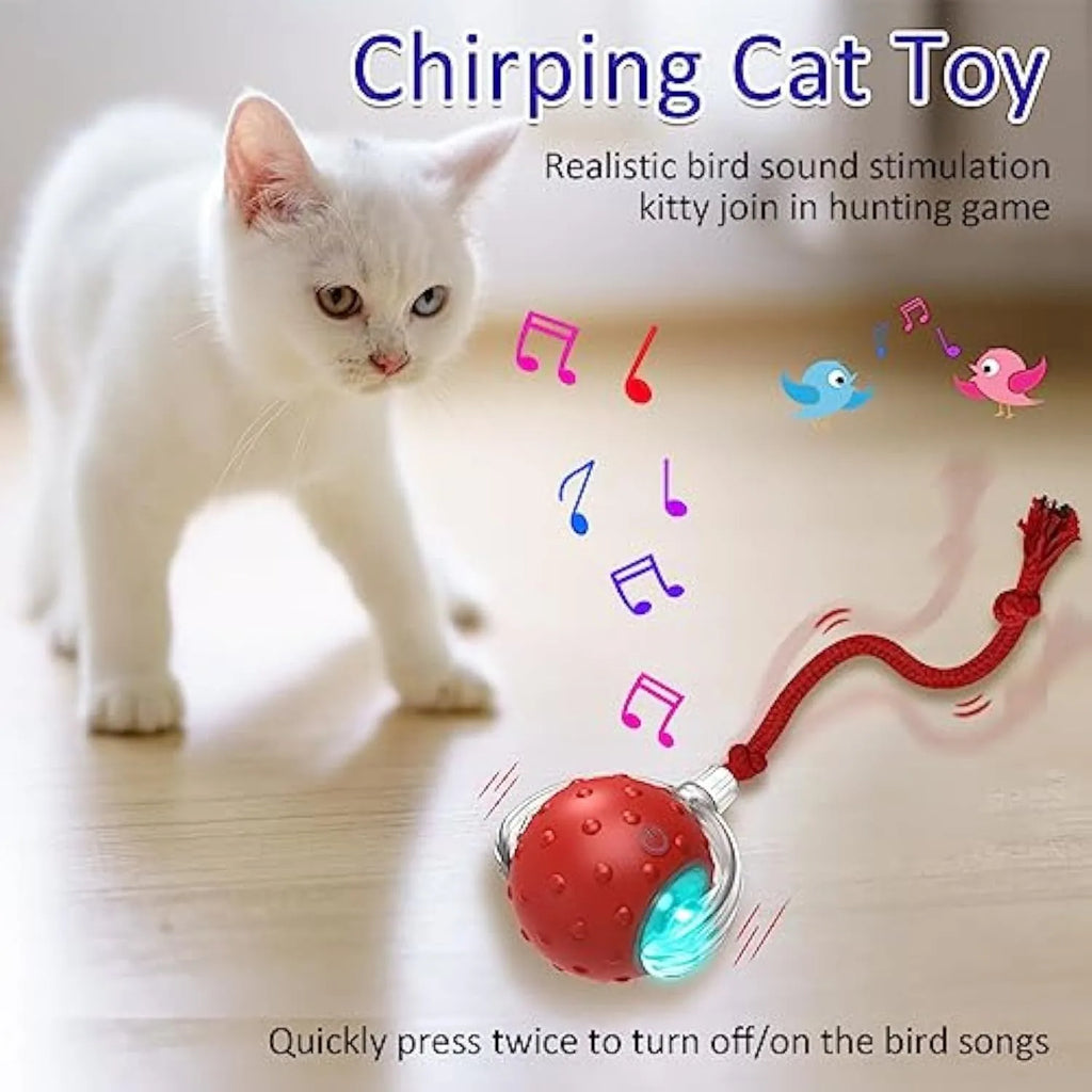 Red motion-activated chirping cat toy rolling on carpet with fast action