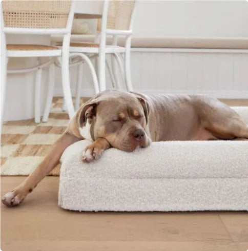 Rectangular pet sofa bed with thickened mattress and cloth cover for dogs, available in multiple sizes and colours