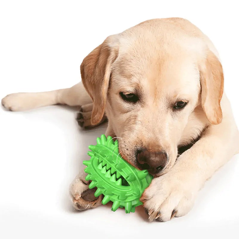 Green cactus-shaped dog toothbrush chew toy for medium large breed dental cleaning
