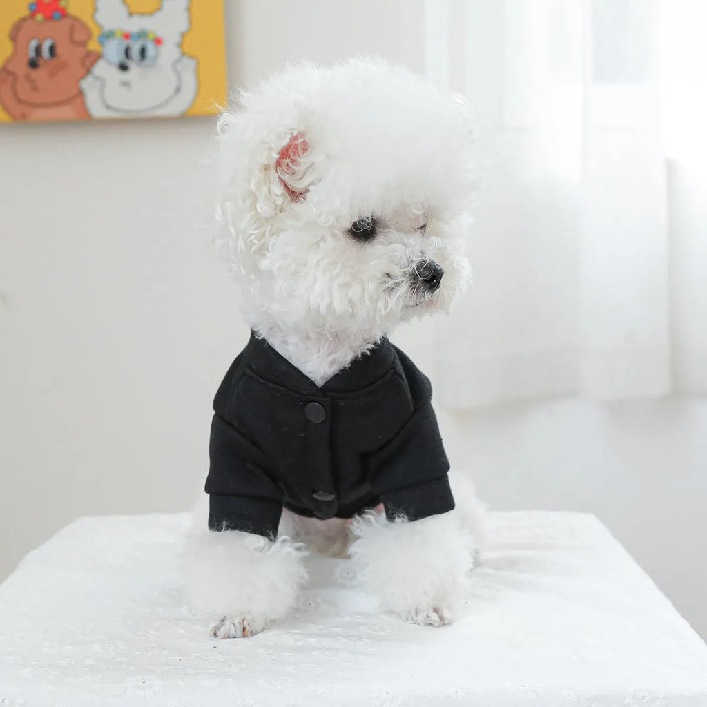 Casual grey kiss sweater design polyester dog jumper for winter on a mannequin.