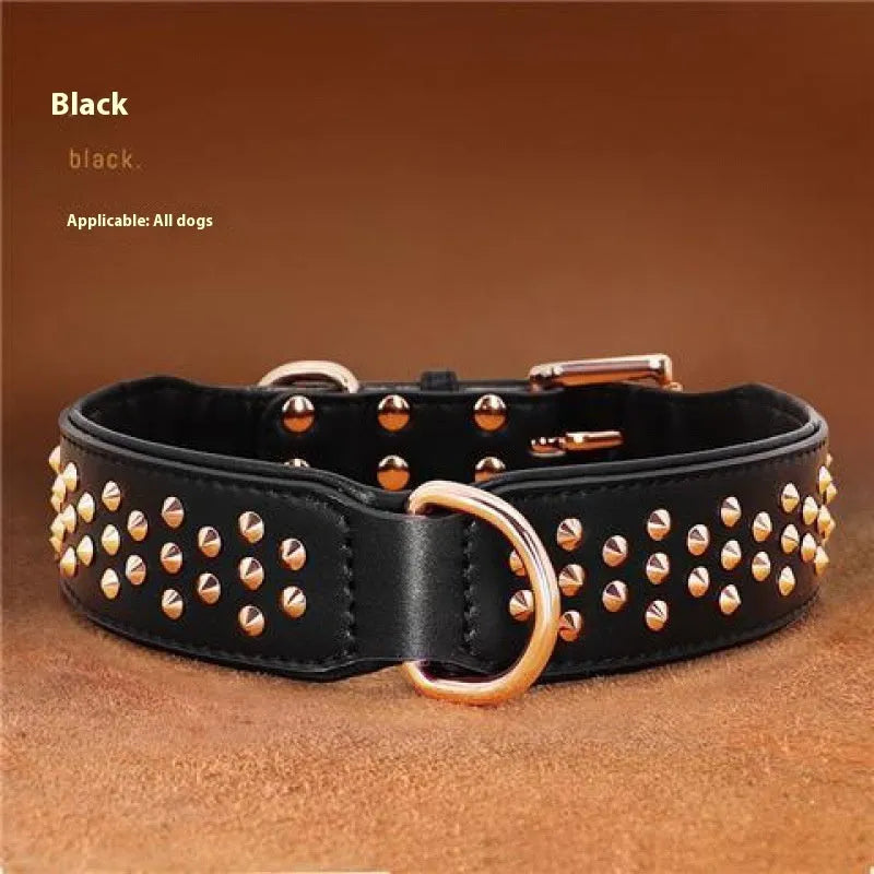 Close-up of a black leather dog collar with metal rivets and an adjustable buckle.