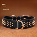 Close-up of a black leather dog collar with metal rivets and an adjustable buckle.