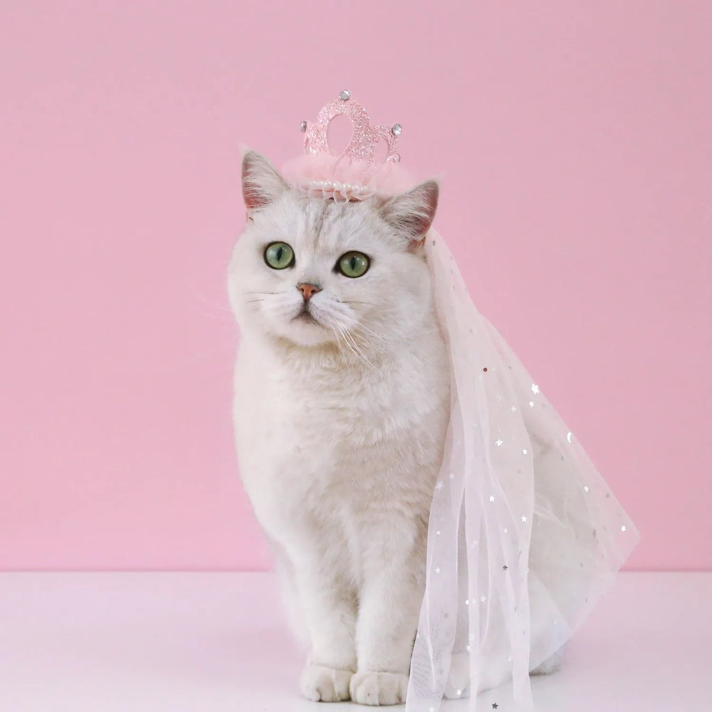 A cat wearing a princess crown headdress with a soft veil, available in beige or pink.