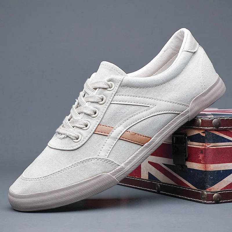 Men's canvas shoes, breathable cloth upper, low top, flat heel, front lace-up, sizes 38-46
